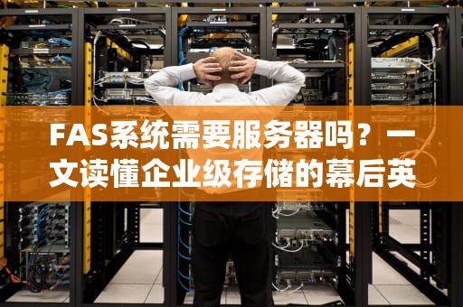 FAS系统需要服务器吗？一文读懂企业级存储的幕后英雄！