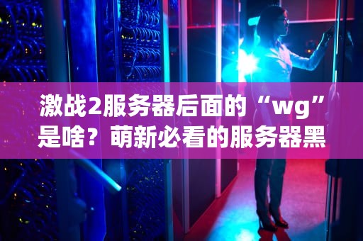 激战2服务器后面的“wg”是啥？萌新必看的服务器黑话解析！