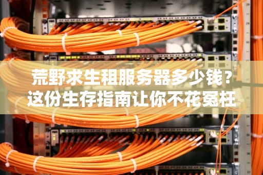 荒野求生租服务器多少钱？这份生存指南让你不花冤枉钱！