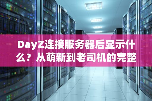 DayZ连接服务器后显示什么？从萌新到老司机的完整界面解析！