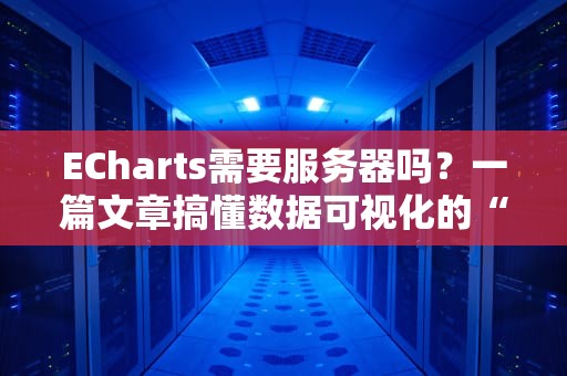 ECharts需要服务器吗？一篇文章搞懂数据可视化的“后台靠山”！