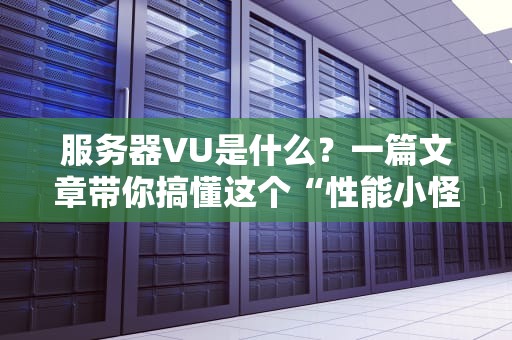 服务器VU是什么？一篇文章带你搞懂这个“性能小怪兽”！