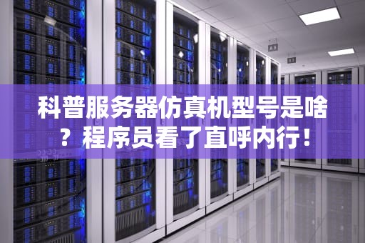 科普服务器仿真机型号是啥？程序员看了直呼内行！