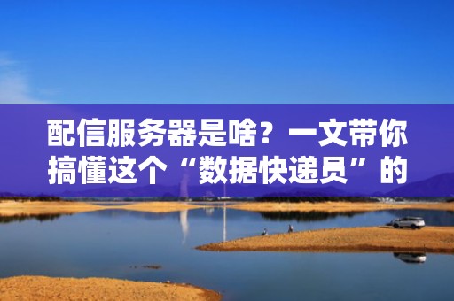 配信服务器是啥？一文带你搞懂这个“数据快递员”的日常！