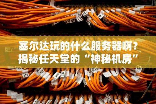 塞尔达玩的什么服务器啊？揭秘任天堂的“神秘机房”与联机黑科技！