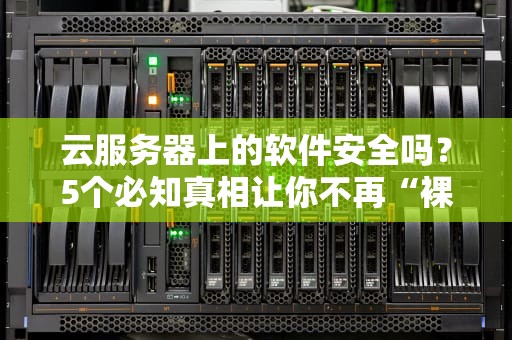 云服务器上的软件安全吗？5个必知真相让你不再“裸奔”上网！