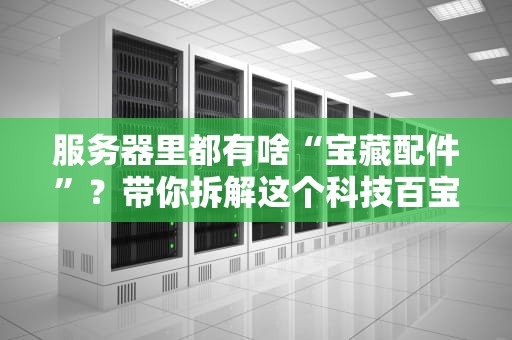 服务器里都有啥“宝藏配件”？带你拆解这个科技百宝箱！