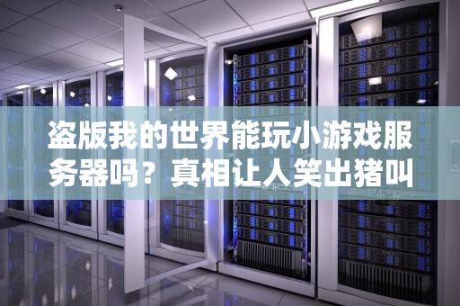 盗版我的世界能玩小游戏服务器吗？真相让人笑出猪叫！