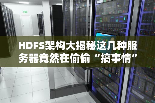 HDFS架构大揭秘这几种服务器竟然在偷偷“搞事情”？