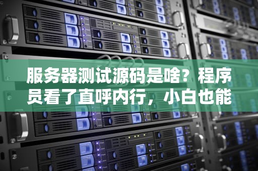 服务器测试源码是啥？程序员看了直呼内行，小白也能秒懂！