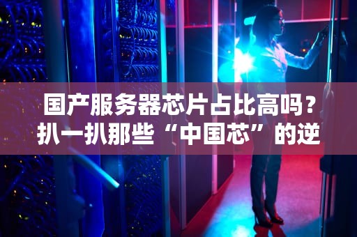 国产服务器芯片占比高吗？扒一扒那些“中国芯”的逆袭真相！