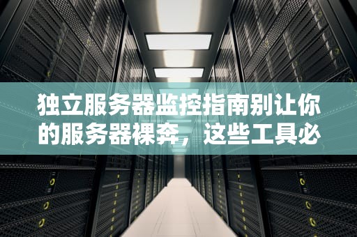 独立服务器监控指南别让你的服务器裸奔，这些工具必须安排上！