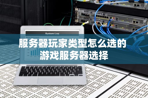 服务器玩家类型怎么选的 游戏服务器选择