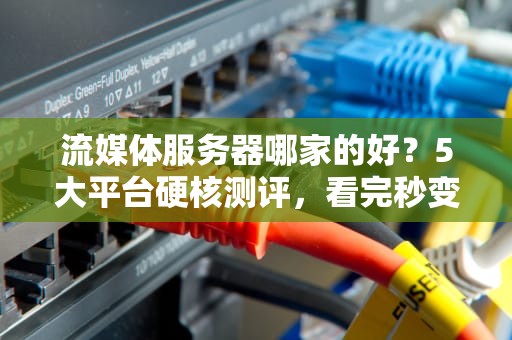 流媒体服务器哪家的好？5大平台硬核测评，看完秒变老司机！