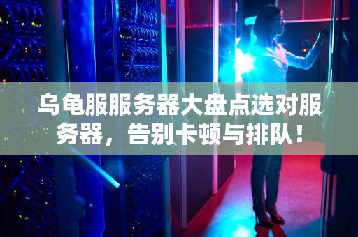 乌龟服服务器大盘点选对服务器，告别卡顿与排队！