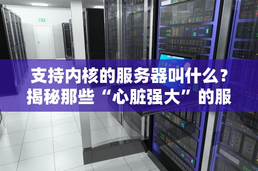 支持内核的服务器叫什么？揭秘那些“心脏强大”的服务器内核技术！