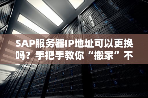 SAP服务器IP地址可以更换吗？手把手教你“搬家”不翻车！