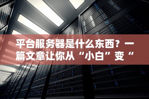 平台服务器是什么东西？一篇文章让你从“小白”变“大神”