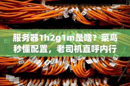服务器1h2g1m是啥？菜鸟秒懂配置，老司机直呼内行！