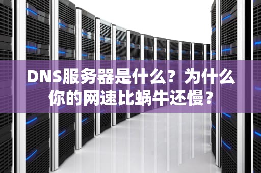 DNS服务器是什么？为什么你的网速比蜗牛还慢？