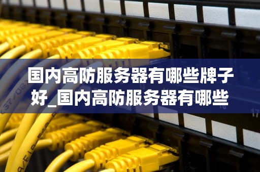 国内高防服务器有哪些牌子好_国内高防服务器有哪些牌子好用_国内高防服务器品牌推荐及选择指南