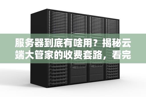 服务器到底有啥用？揭秘云端大管家的收费套路，看完秒懂！