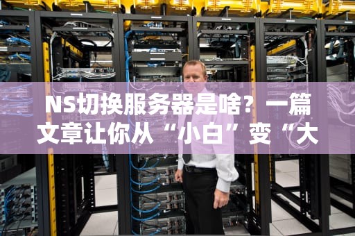NS切换服务器是啥？一篇文章让你从“小白”变“大神”！（附实战避坑指南）