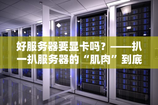 好服务器要显卡吗？——扒一扒服务器的“肌肉”到底长在哪！
