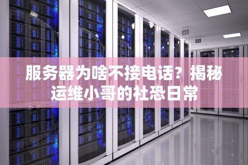 硬核服务器属性一样吗？揭秘服务器界的双胞胎与异卵兄弟