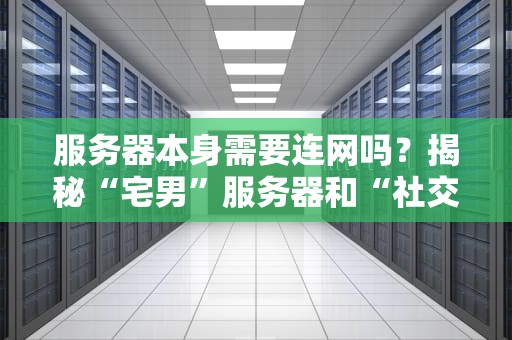 服务器本身需要连网吗？揭秘“宅男”服务器和“社交达人”服务器的区别！