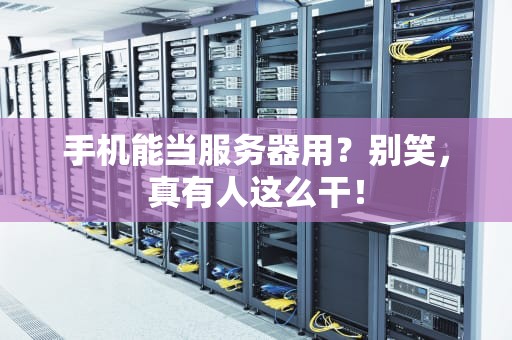 手机能当服务器用？别笑，真有人这么干！