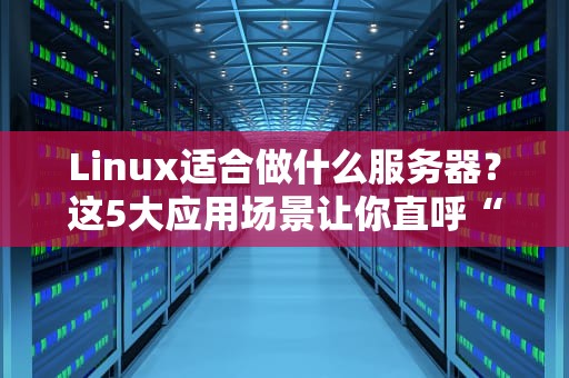Linux适合做什么服务器？这5大应用场景让你直呼“真香”！