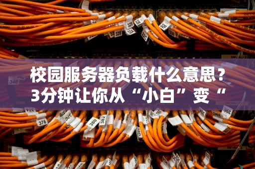 校园服务器负载什么意思？3分钟让你从“小白”变“大神”！