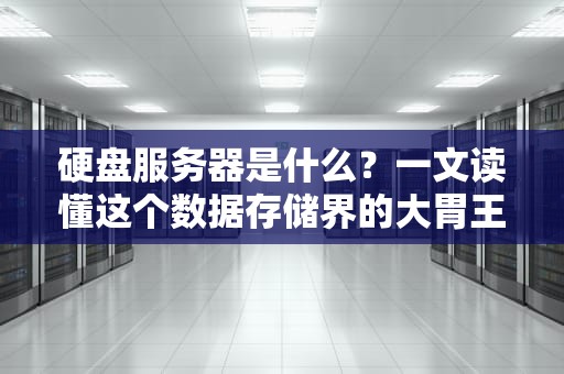 硬盘服务器是什么？一文读懂这个数据存储界的大胃王！