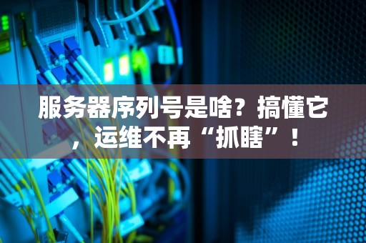 服务器序列号是啥？搞懂它，运维不再“抓瞎”！