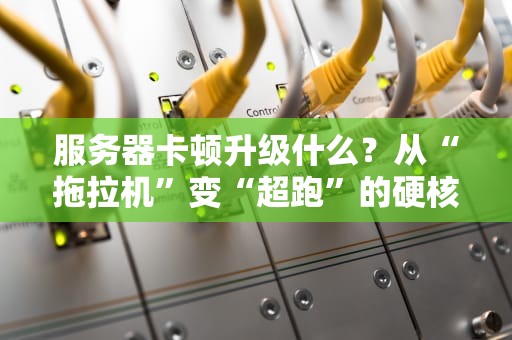 服务器卡顿升级什么？从“拖拉机”变“超跑”的硬核指南！