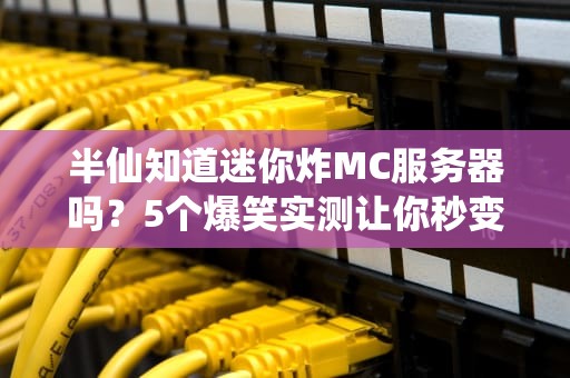 半仙知道迷你炸MC服务器吗？5个爆笑实测让你秒变服务器老司机！
