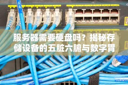 服务器需要硬盘吗？揭秘存储设备的五脏六腑与数字胃病