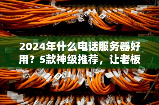 2024年什么电话服务器好用？5款神级推荐，让老板直呼内行！