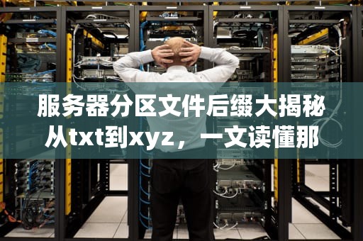 服务器分区文件后缀大揭秘从txt到xyz，一文读懂那些神秘的“小尾巴”