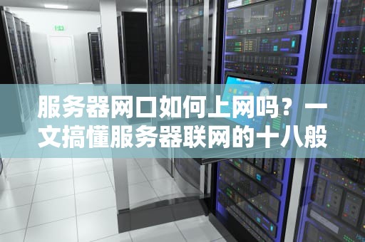 服务器网口如何上网吗？一文搞懂服务器联网的十八般武艺！