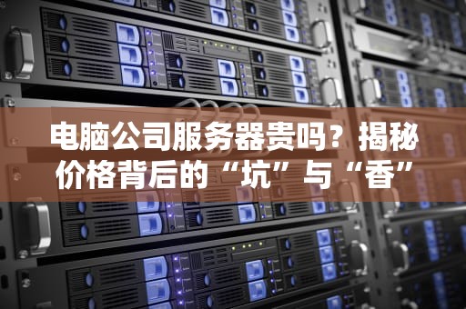 电脑公司服务器贵吗？揭秘价格背后的“坑”与“香”