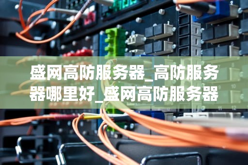 盛网高防服务器_高防服务器哪里好_盛网高防服务器——网络安全的坚实盾牌