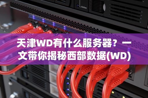 天津WD有什么服务器？一文带你揭秘西部数据(WD)在天津的服务器布局！