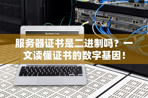 服务器证书是二进制吗？一文读懂证书的数字基因！