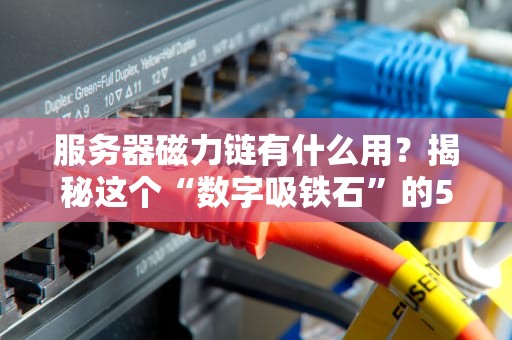 服务器磁力链有什么用？揭秘这个“数字吸铁石”的5大神奇操作！
