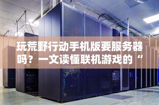 Python做网页选什么服务器？这份吃货指南让你轻松挑对菜！