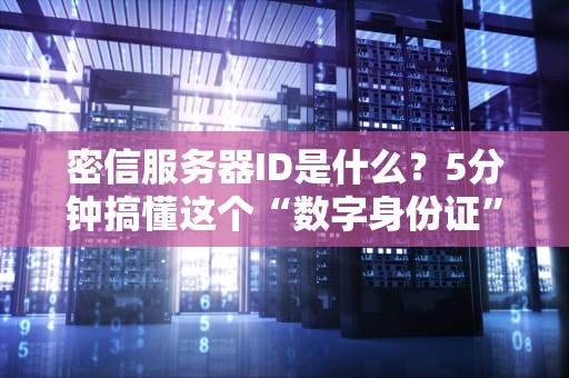 什么是巴黎世家服务器号？揭秘时尚圈与IT界的跨界黑话