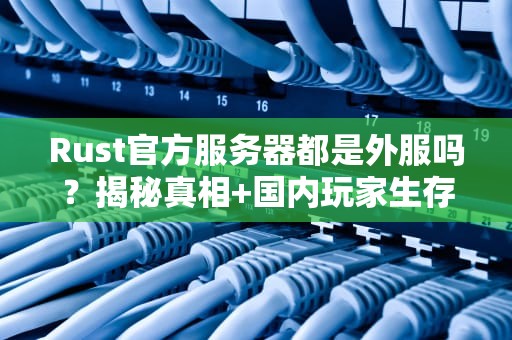 Rust官方服务器都是外服吗？揭秘真相+国内玩家生存指南！