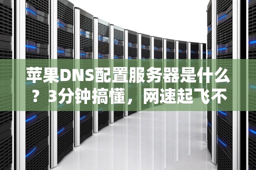 苹果DNS配置服务器是什么？3分钟搞懂，网速起飞不是梦！
